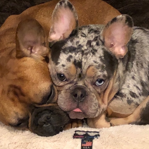 Meet your Posher, Lauren - Picture 5 of 10